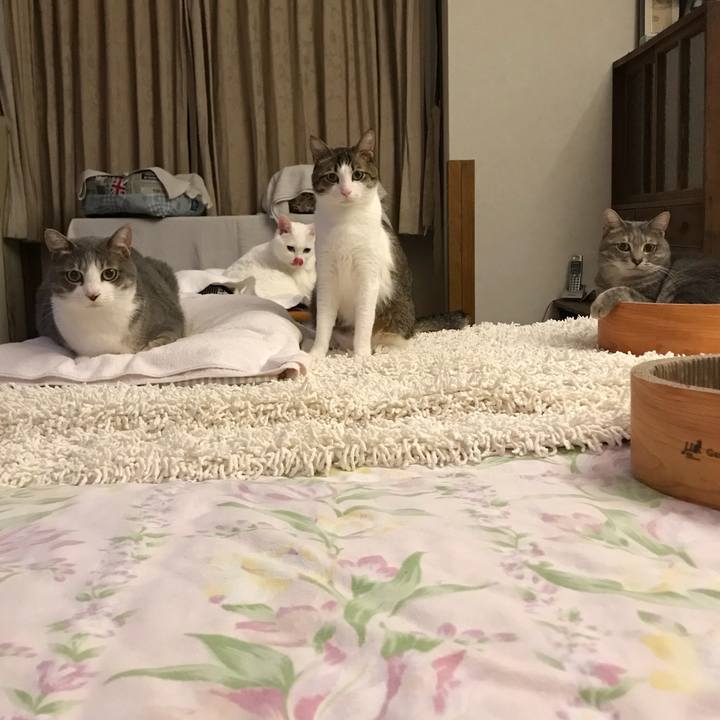 Fb4787ed 461d 4cc7 9933 225e96c23781 1511713446822