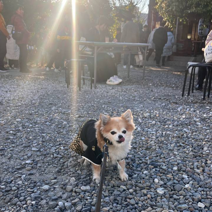 Fb478b9e 102f 4093 98b0 56287481ab58 1767262288726