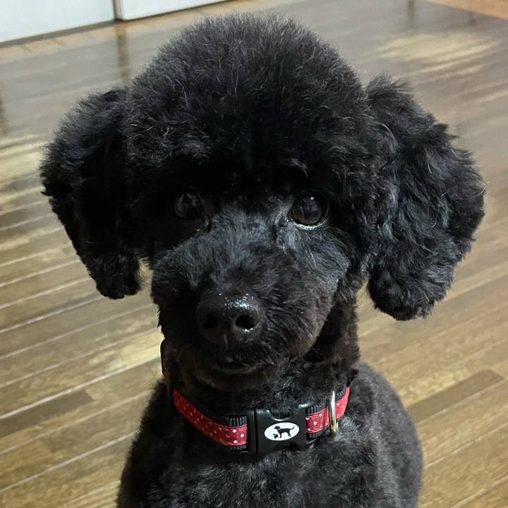 Fb47b03f 32df 4d78 99d1 34cc1250c057 1630216361610