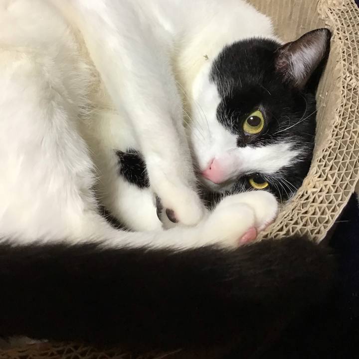 Fb47cc6f f21b 4c51 9629 5fb4ec40843a 1712575054352