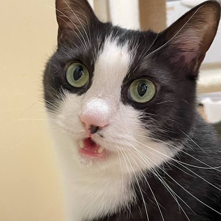 Fb47d481 d728 41bd 8888 8e23b6fff97e 1645483189739