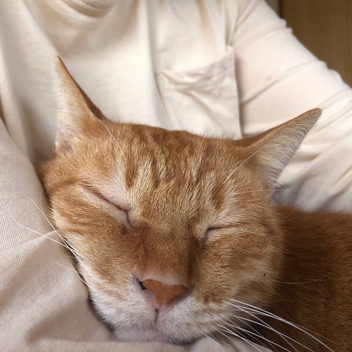 Fb47e4a7 3e67 4fc9 b961 c4e5d7d19ec0 1697247959120