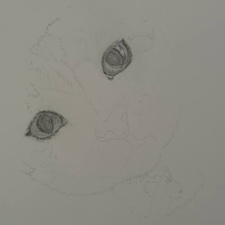 Fb47f532 534a 47b9 99a2 ba976648a52c 1775206112252