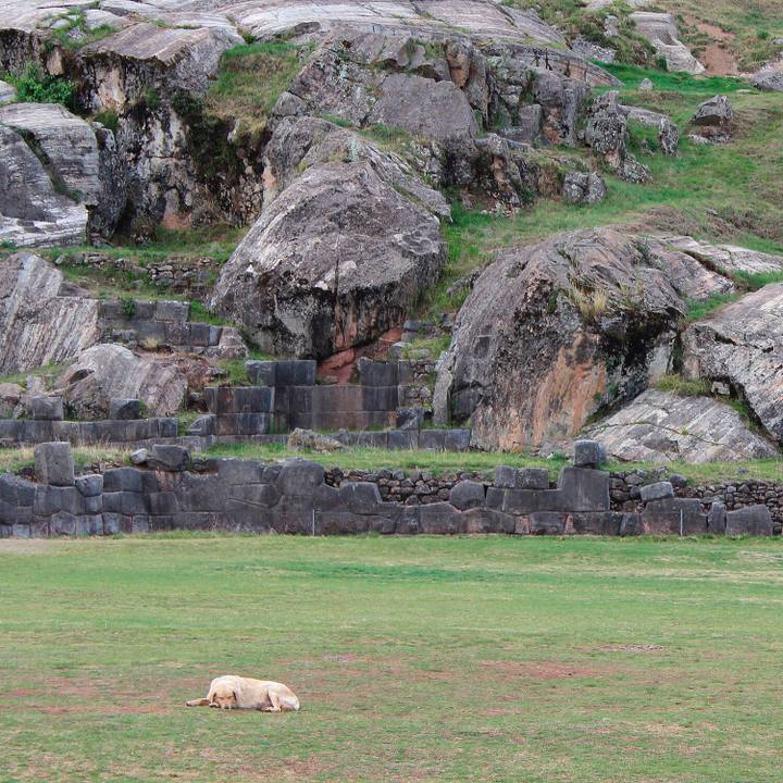 Fb482b06 f3ab 41fc 8c6a eaea25f443f9 1535550420548