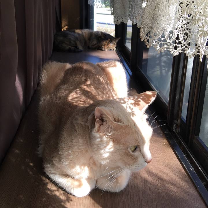 Fb484398 a9e0 4c2d b44c e3fe570467cc 1561634951061