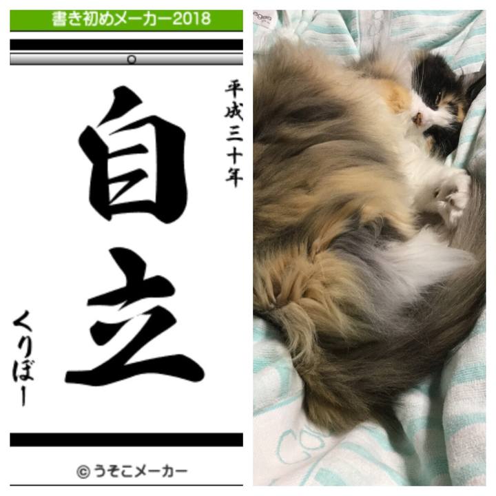 Fb485a7c a7b3 43af 8132 78c5ae37dfa3 1514994890989