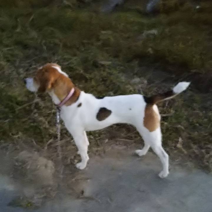 Fb48646a 6c52 43e3 9ef4 64821e81080f 1577707450620