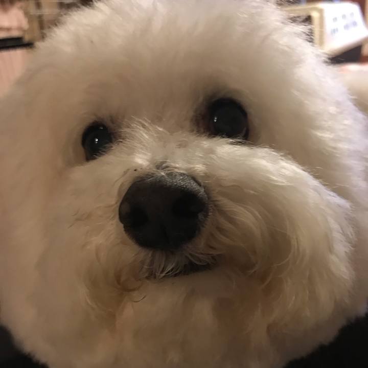 Fb488314 0aa8 425d a15c a3311d19a8e3 1577616448361