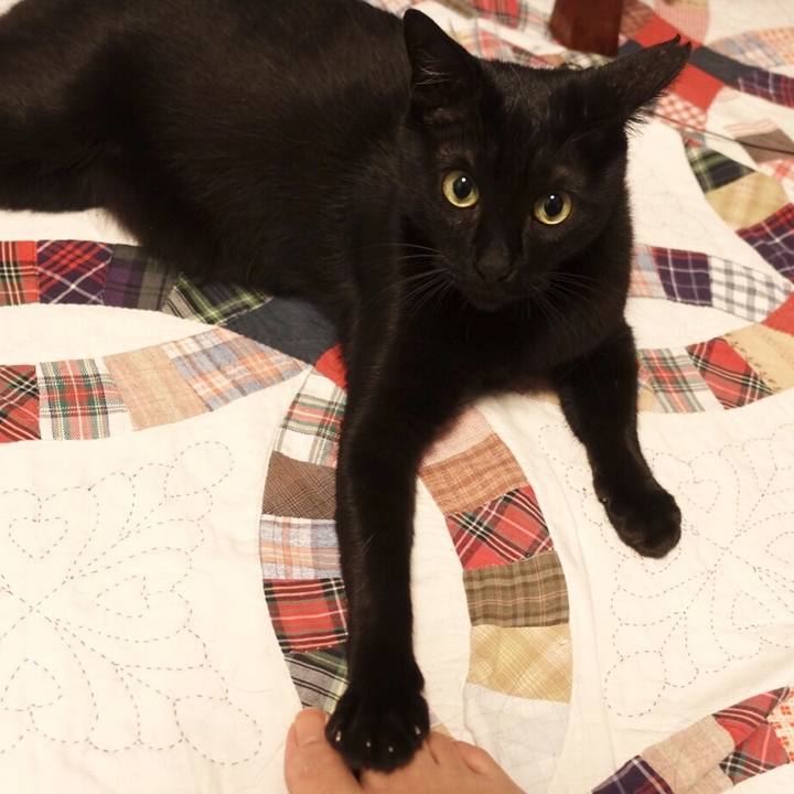 Fb488c5e 8ca6 4915 9355 c1eb7f11329d 1524237832717