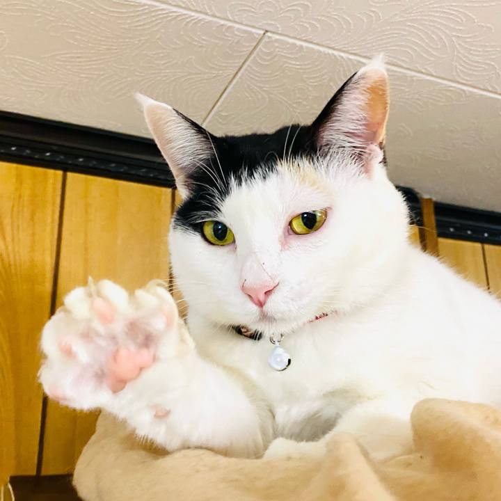 Fb48b6b2 8515 4e98 a2cd 10b4663fd759 1673872035039