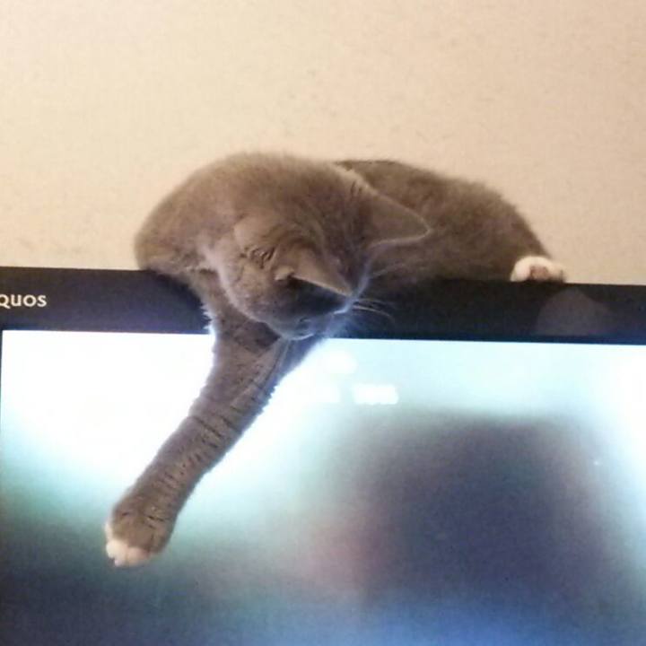 Fb48d195 37d6 49d5 b3cd a9e3560cf2bf 1536618067974