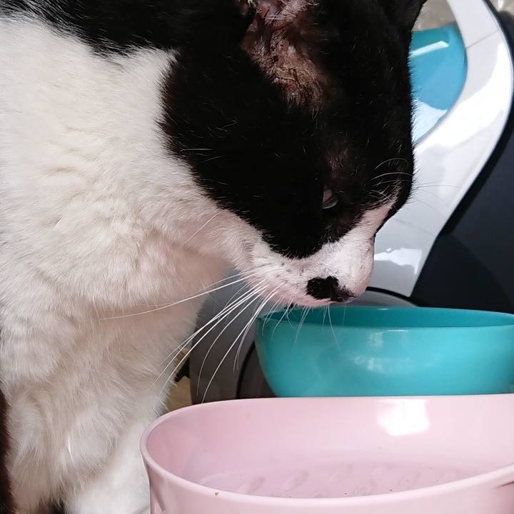 Fb48ded2 5a98 4554 aea8 f071d19a8dfb 1526339486814