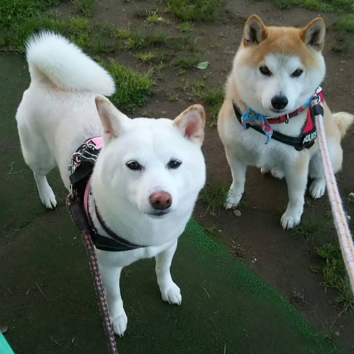 Fb48f005 8f3b 4579 ae18 b662015c3612 1527243800303