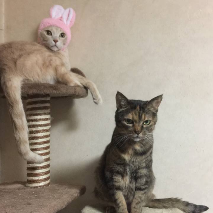 Fb48f738 6922 4ce1 aa84 bcbd1be18365 1618489645978