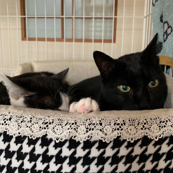 Fb490b6d 059b 4be0 b282 1b3cc481273f 1544924742338