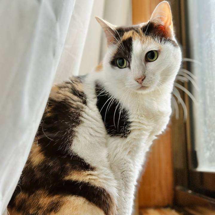 Fb49296d 9c06 4030 83a6 747d3cab8ca7 1718766007167