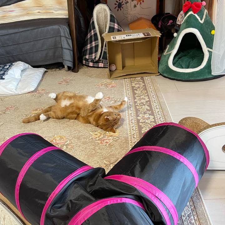 Fb4934f7 27bd 416b b24e 56e20ae08167 1619328086561