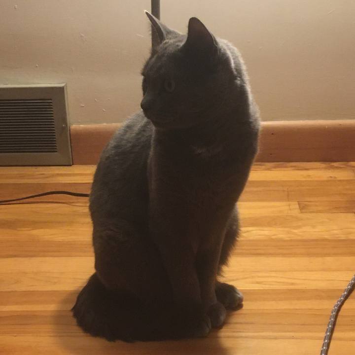 Fb49585e 17b1 42b4 a071 e56288c19456 1633481009176