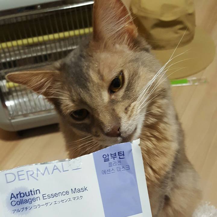 Fb4961b5 ca4b 4b9d a79d 12adf3351542 1557584502160