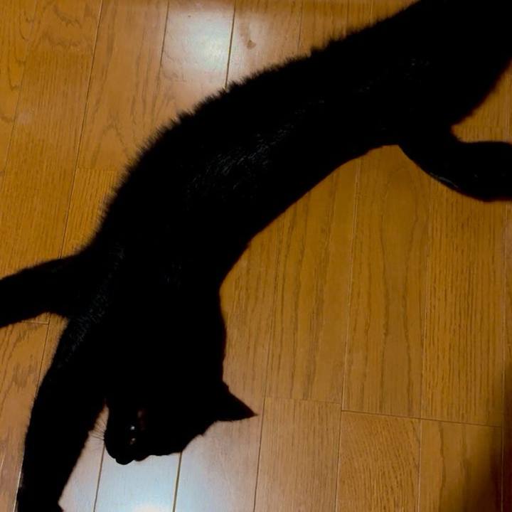 Fb496b57 1ee4 40e4 83e6 e4a48e0a9b9f 1759549025579