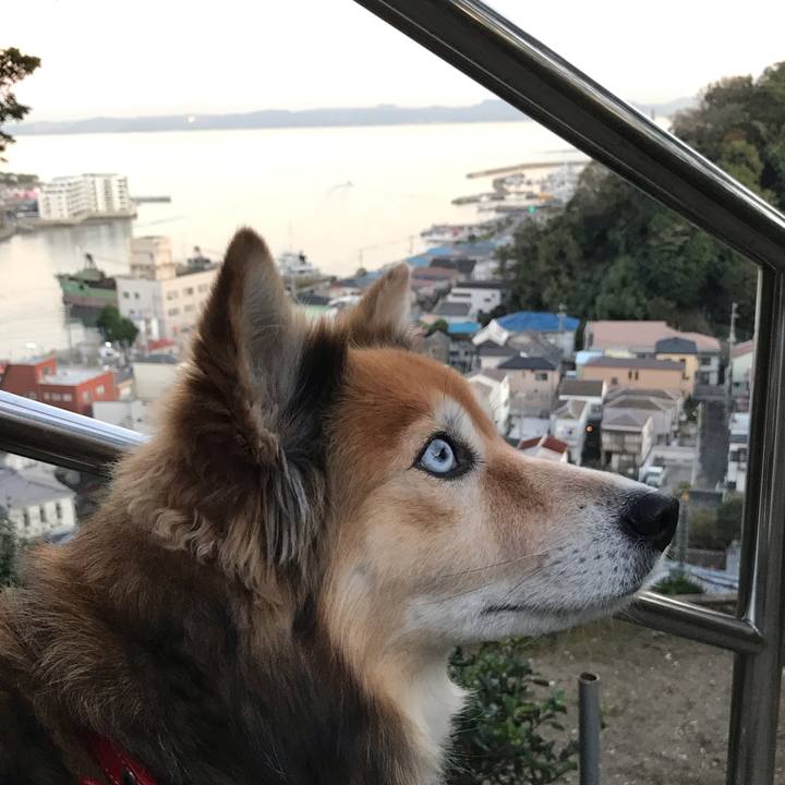 Fb4973f0 5383 45a4 b2d3 24aae045cdc8 1573025943004