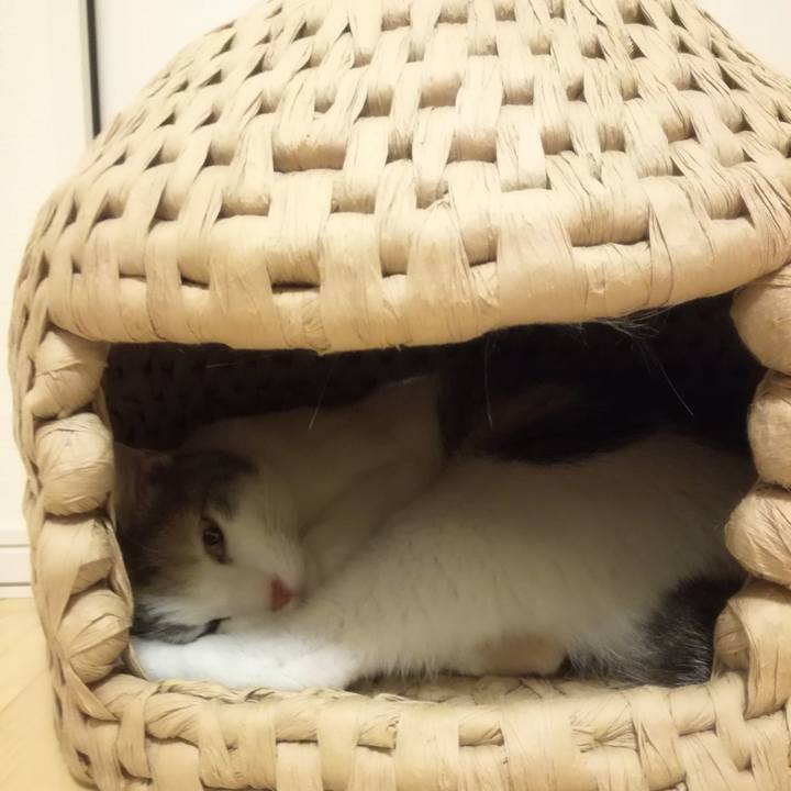 Fb498d65 2d84 405b 9a8a 52627ad14993 1526201360223