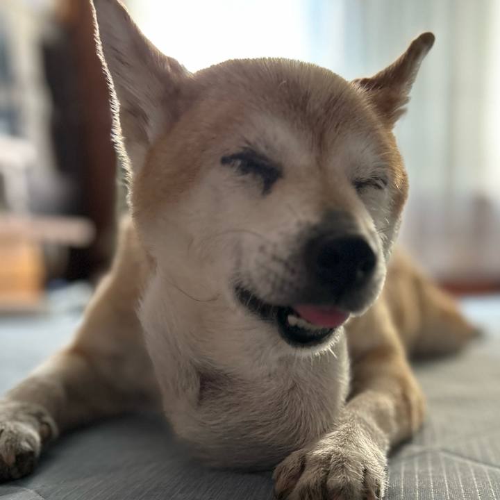 Fb49a33e 6e63 4420 940c 0af9d9e41258 1756265238215