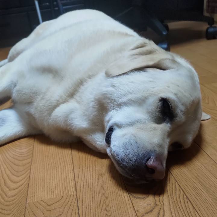 Fb49afb8 cdb8 43d3 ba3f 12d998d5d004 1656954814240