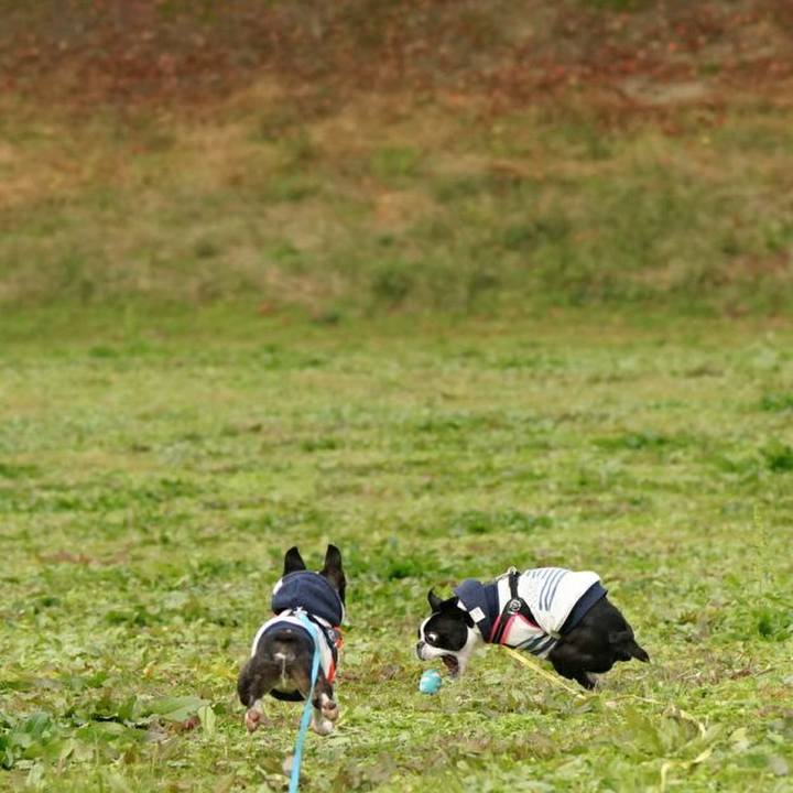 Fb49c831 101c 4497 a275 6a83a024bef2 1511681234194