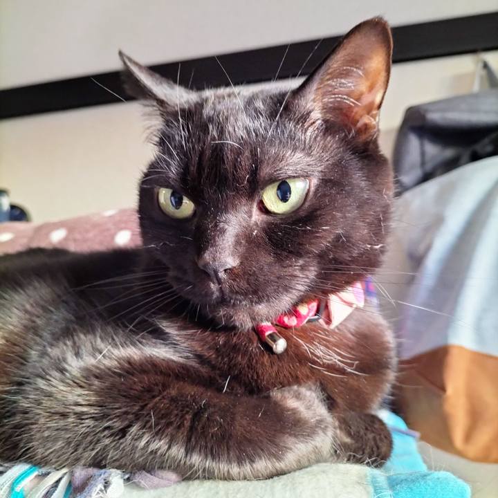 Fb49d157 7135 4f9e a1f9 c1dd10c7feec 1677793390483