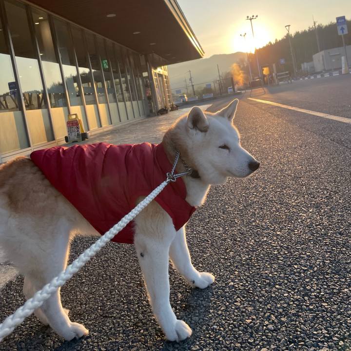 Fb49d892 4b97 4112 ad22 42f62bad04bb 1672553664806