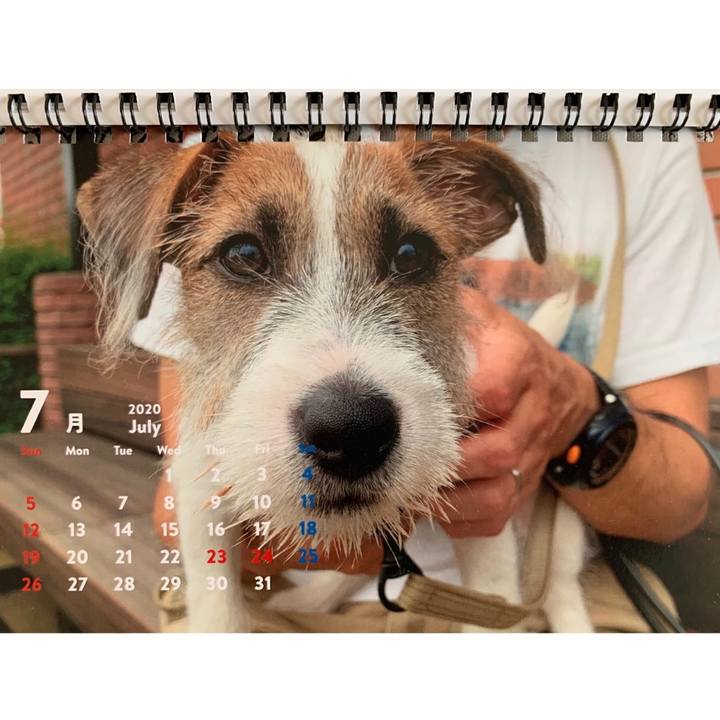 Fb4a2a58 2677 4ad1 ba10 8c14bc14b5ba 1596197214708