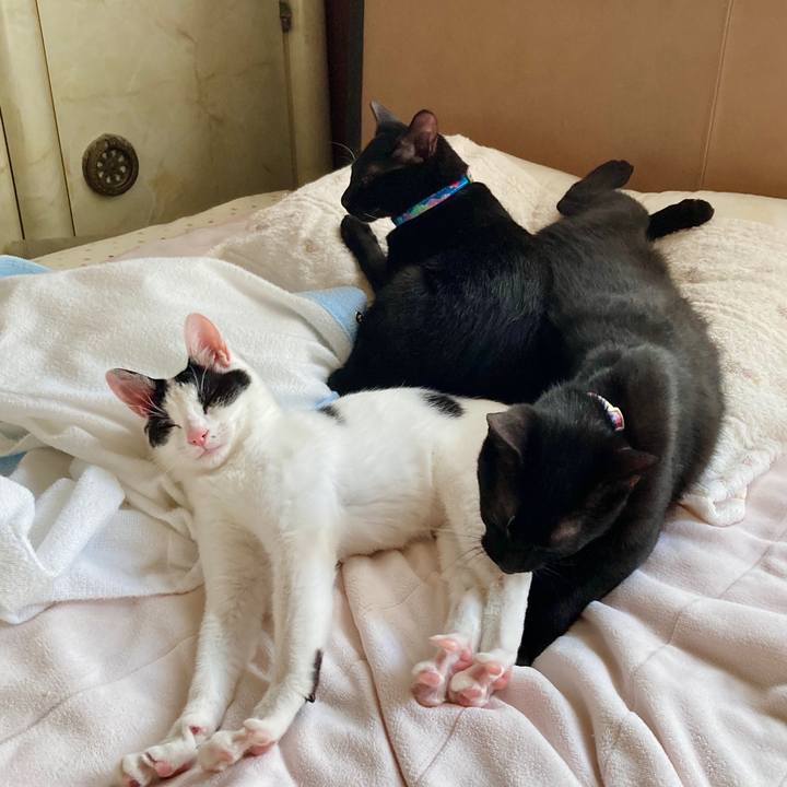 Fb4a369f ed4f 4c10 8e8b b2e85b67aa7a 1634186524968