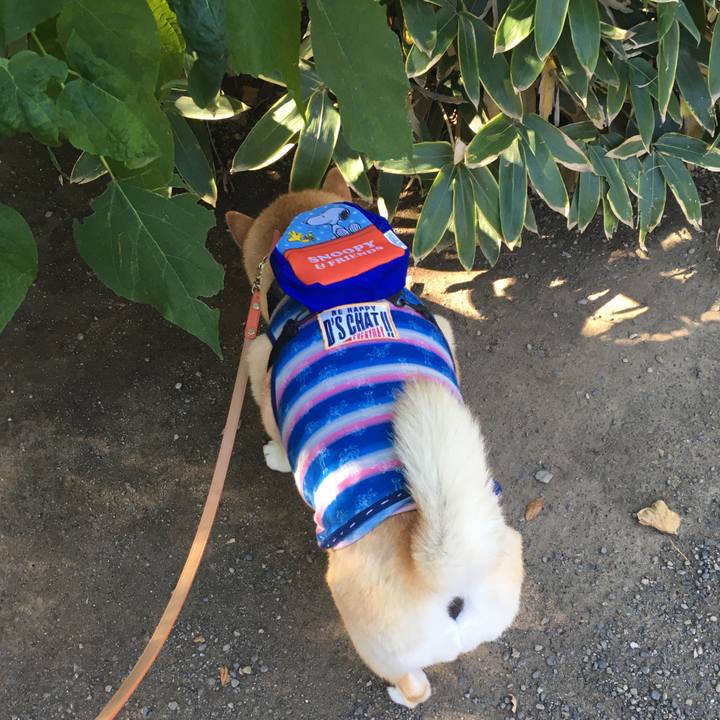 Fb4a497b 747b 424b 9d3c d7a5976225eb 1573198078819