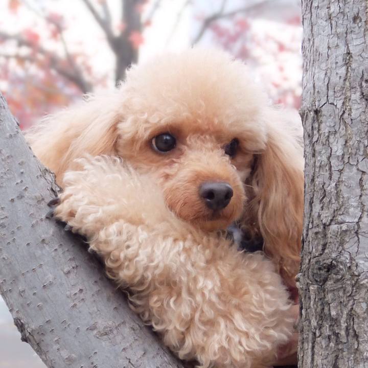 Fb4a6287 1b74 45b0 b488 158b12f00ce5 1542406657023