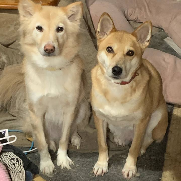 Fb4a7eb5 d11b 40f3 b6dc e097f719b960 1703985624579