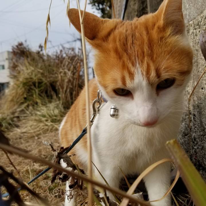 Fb4aa158 e1de 4240 82e4 09a1ebf08df7 1519451409628