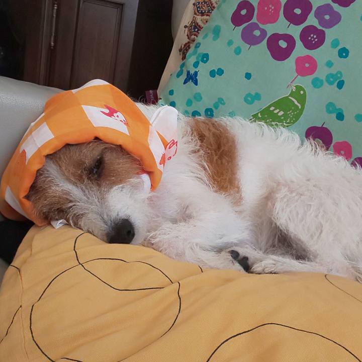 Fb4aa871 1daa 402f 9a08 2c77a69e14d8 1605535608094