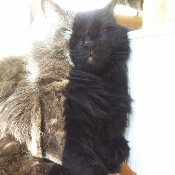 Fb4ad73e 3252 44f6 ab8c 6c5988747d38 1573386440888