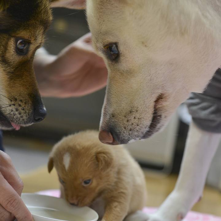 Fb4b0172 4913 4361 9202 b06363db514d 1543747031633