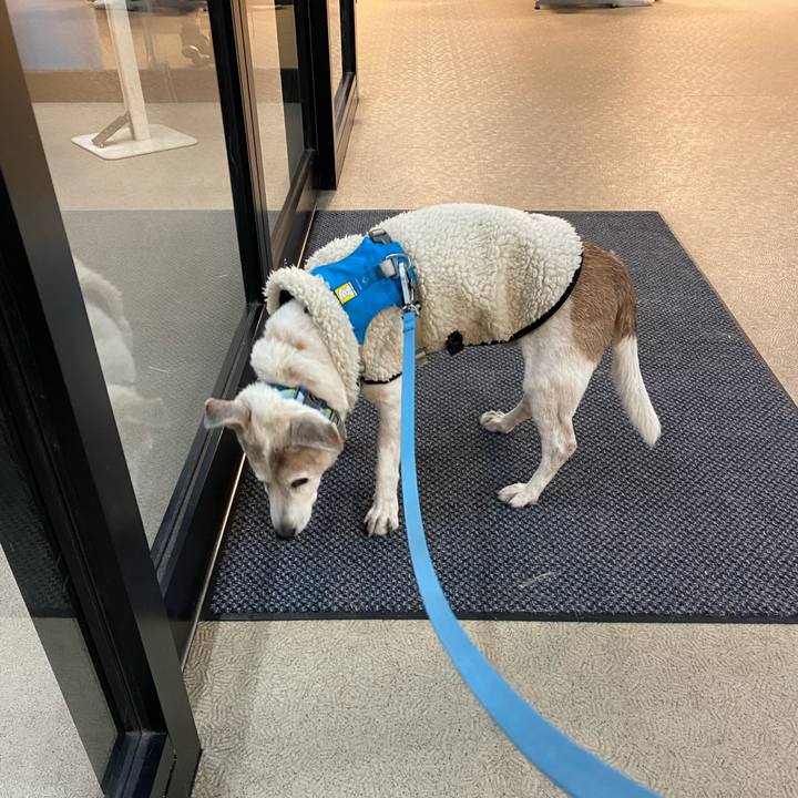 Fb4b1c0b d14e 4809 9da1 2b1dd22cdaa5 1734440237690