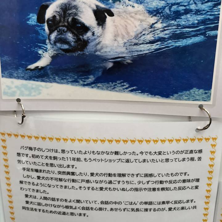 Fb4b2942 f76c 4624 901c 8fc03548fb5c 1759226107483