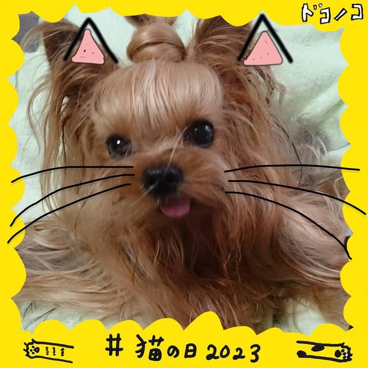 Fb4b2b49 8ca7 4ac5 b138 0868bb351abb 1676995533067