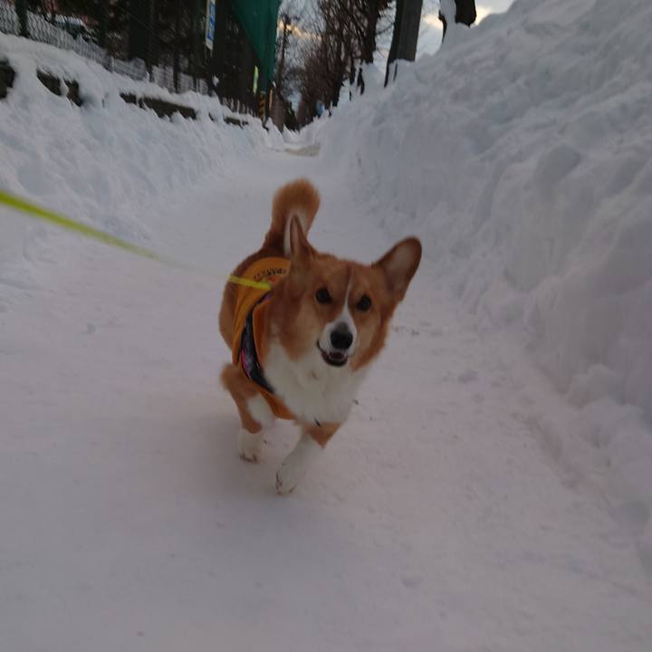 Fb4b2cf6 d79c 499b bd07 5bcc585a7bb1 1770247557804