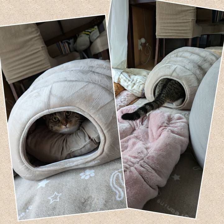 Fb4b5c1f d670 41c8 b16c 4e2666bb4ad2 1730515135643