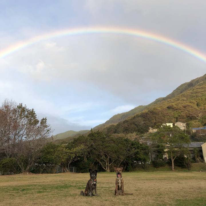 Fb4b76b8 4a5c 4805 9393 ab994ebaceda 1580204180311