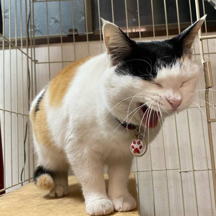 Fb4b8804 6fa6 4400 9fb5 85048e53a1a9 1642749341256