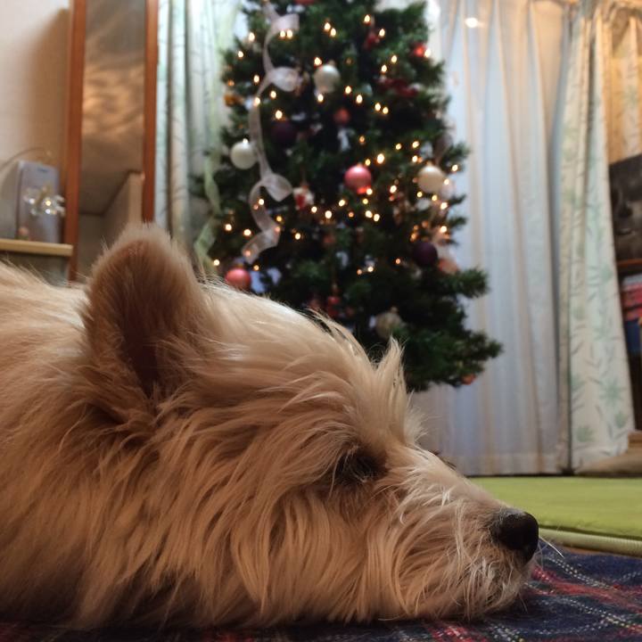 Fb4b99e0 35b3 4c6b aee9 528108bcc5ce 1514171705371