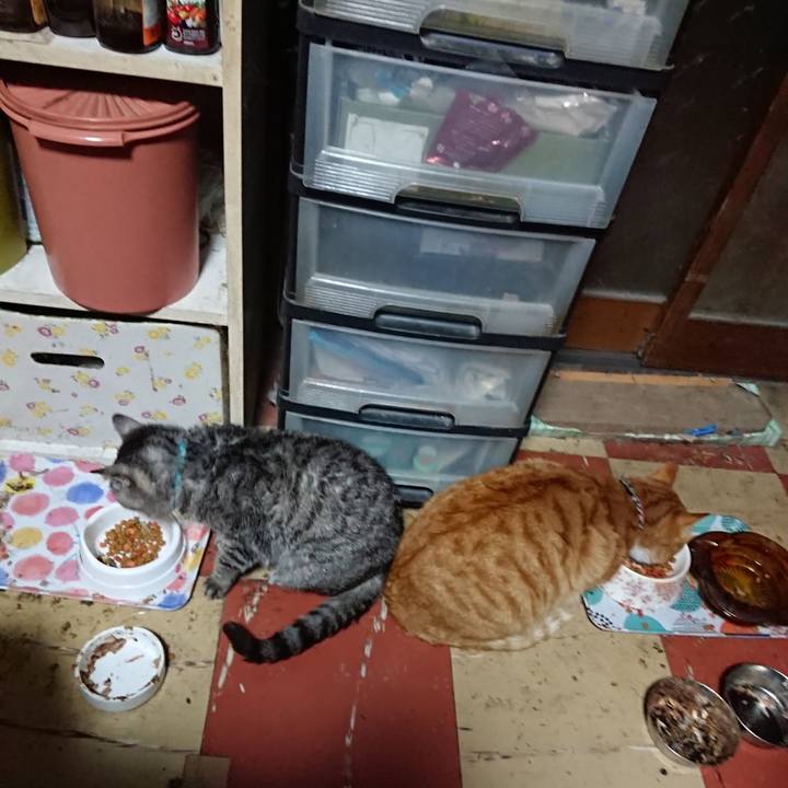 Fb4bbe31 4e08 46e9 aff0 3c04550fd226 1575488973731