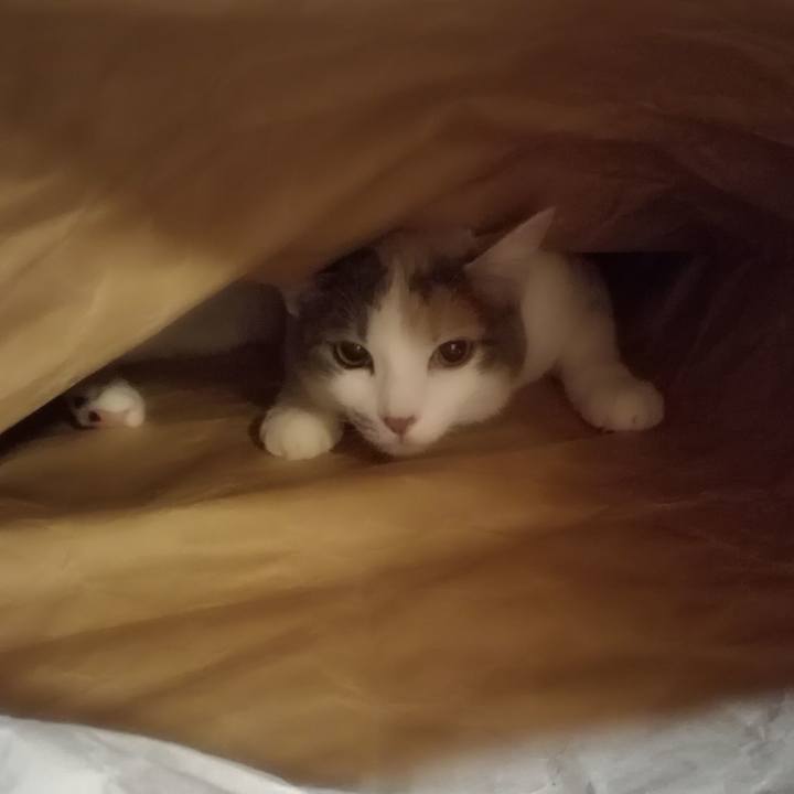 Fb4be757 6a60 4450 90f9 e3cc22a3d55f 1547981897092